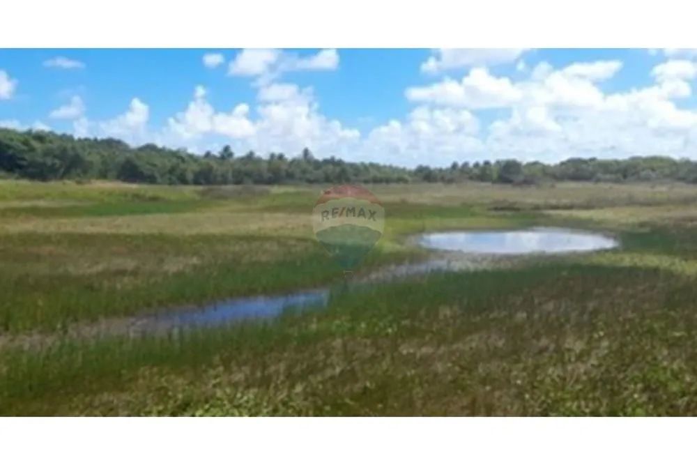 Chácara em Piaçabuçu a venda - Foto 2