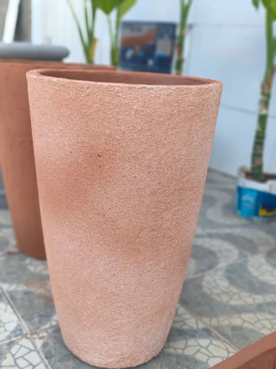 Vaso cone pigmentado - Foto 2
