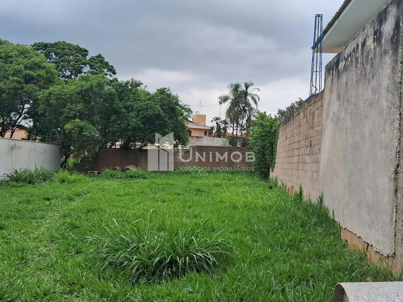 terreno - Nova Campinas - Campinas - Foto 3
