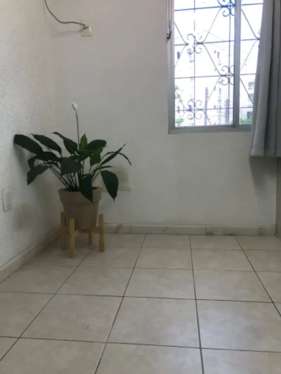 Sala para alugar Itacorubi - Foto 2
