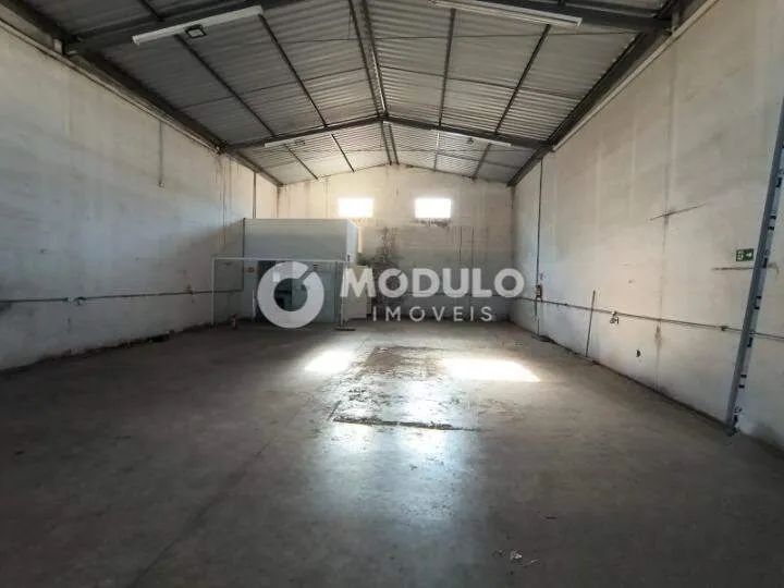 Galpão comercial disponível para locação no bairro Minas Gerais. - Foto 4