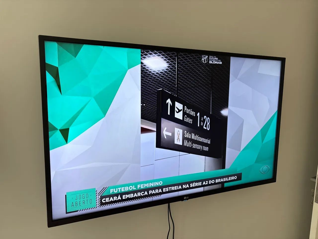 TV LG 44 polegadas 