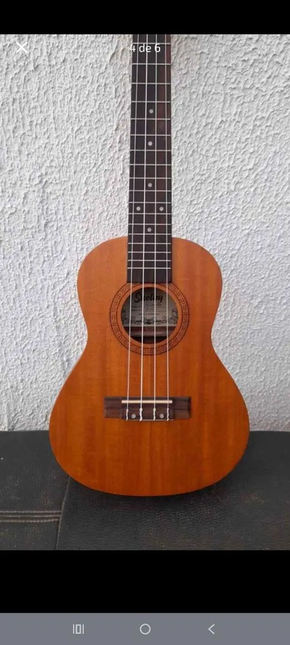 Ukulele Consert - Foto 4