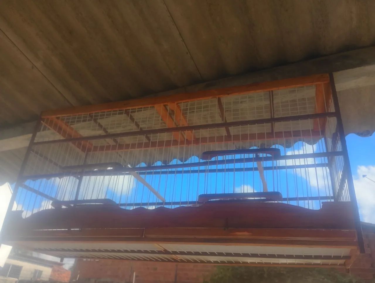 Gaiola nova - Foto 5