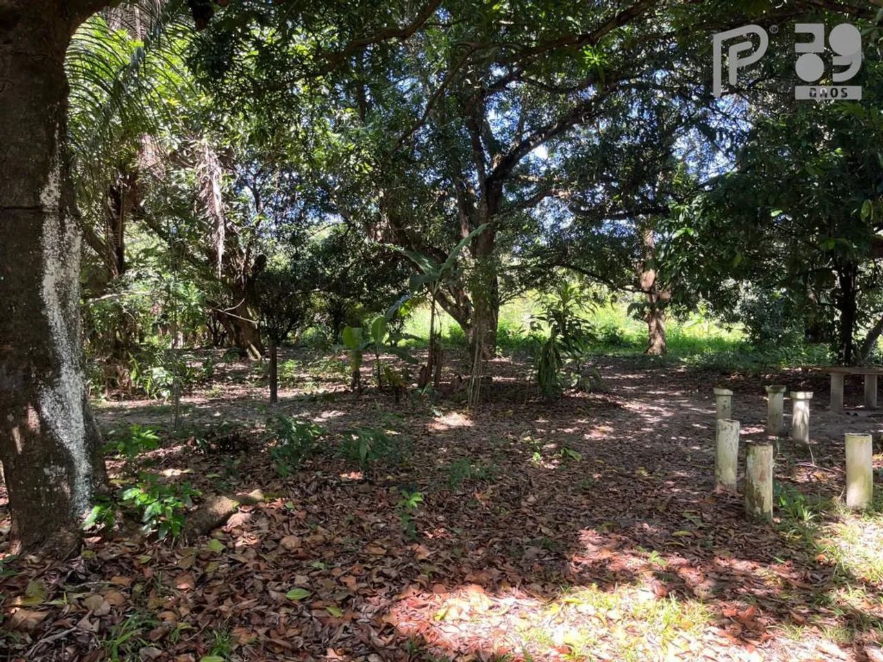 Área à venda, 40.000 m² por R$ 8.000.000,00 - Maiobinha - São Luís/MA - Foto 4