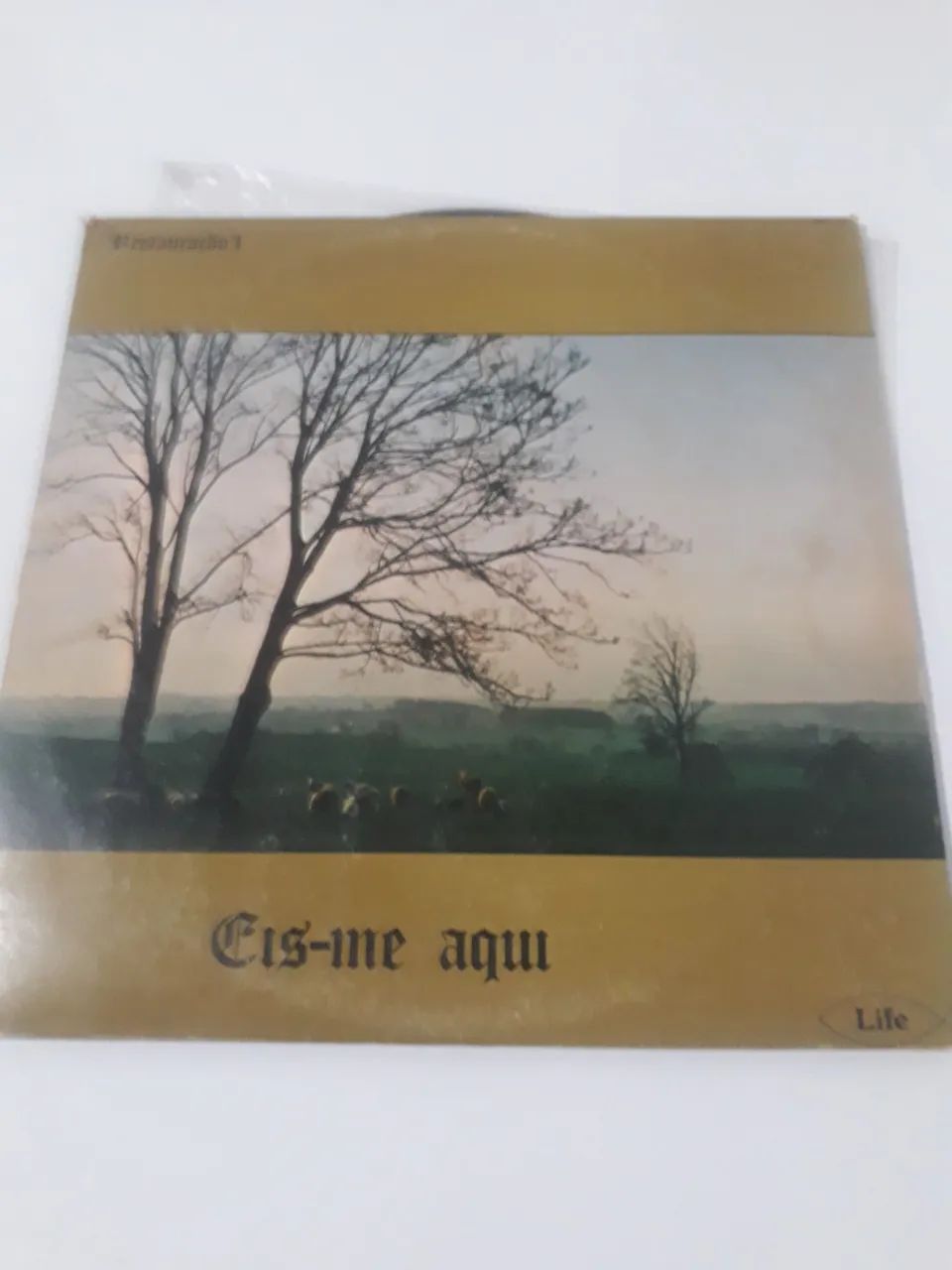 DISCO VINIL GOSPEL 
