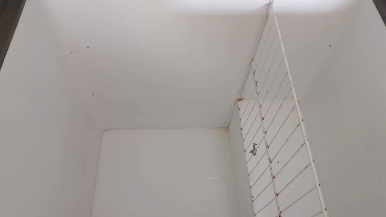 Um freezer