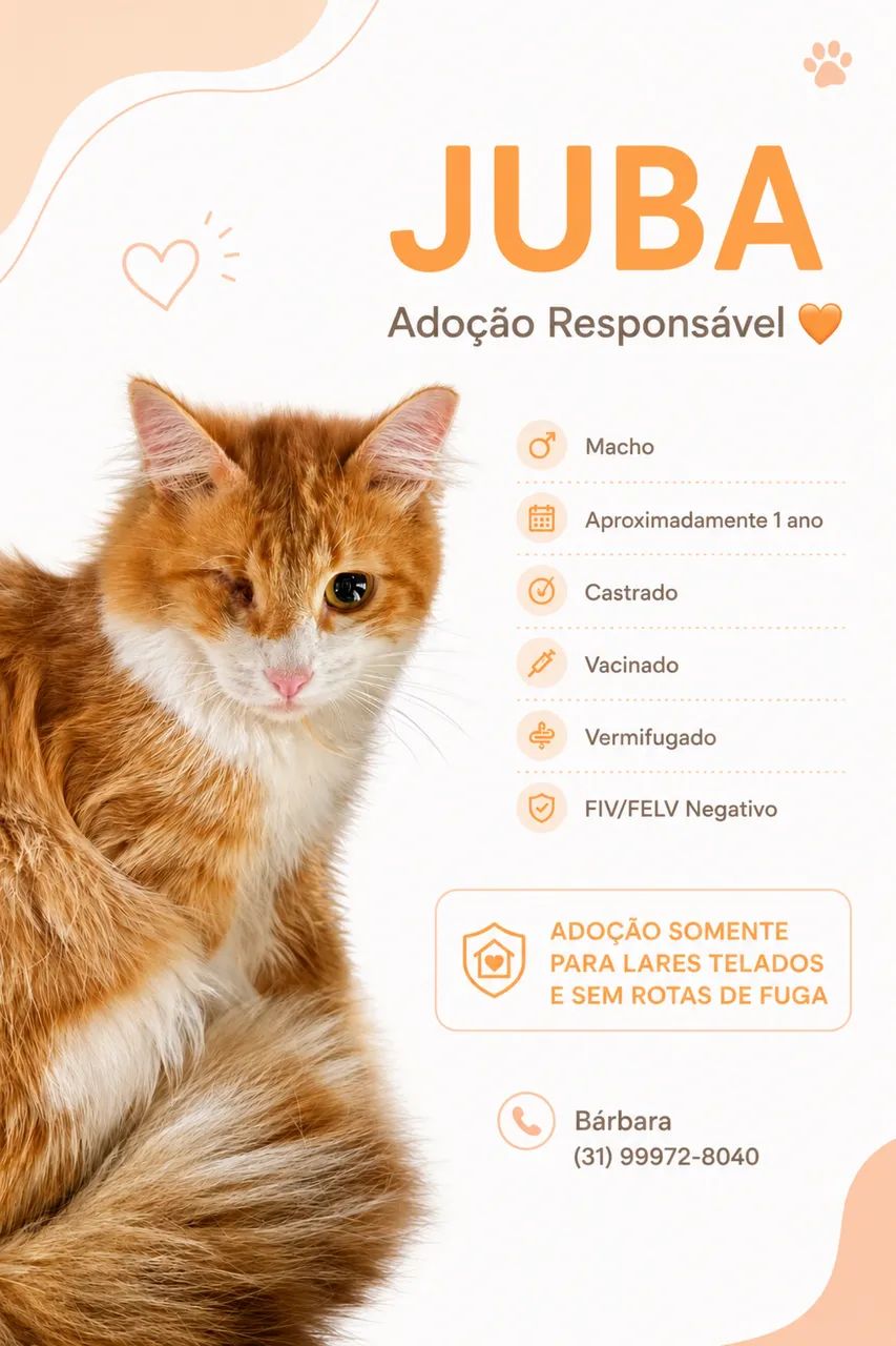 ADOTE O JUBA