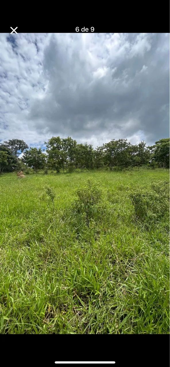 Terreno de 2,5 hectares  - Foto 4