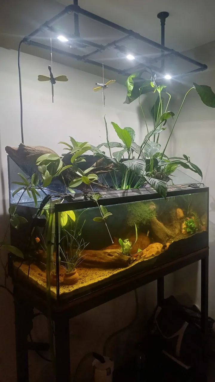 Aquario 192 Litros - Foto 4