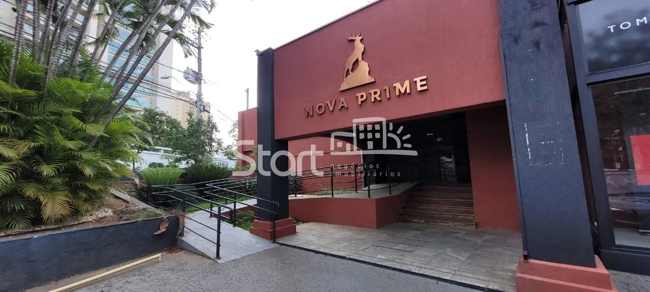 casa - Cambuí - Campinas - Foto 2