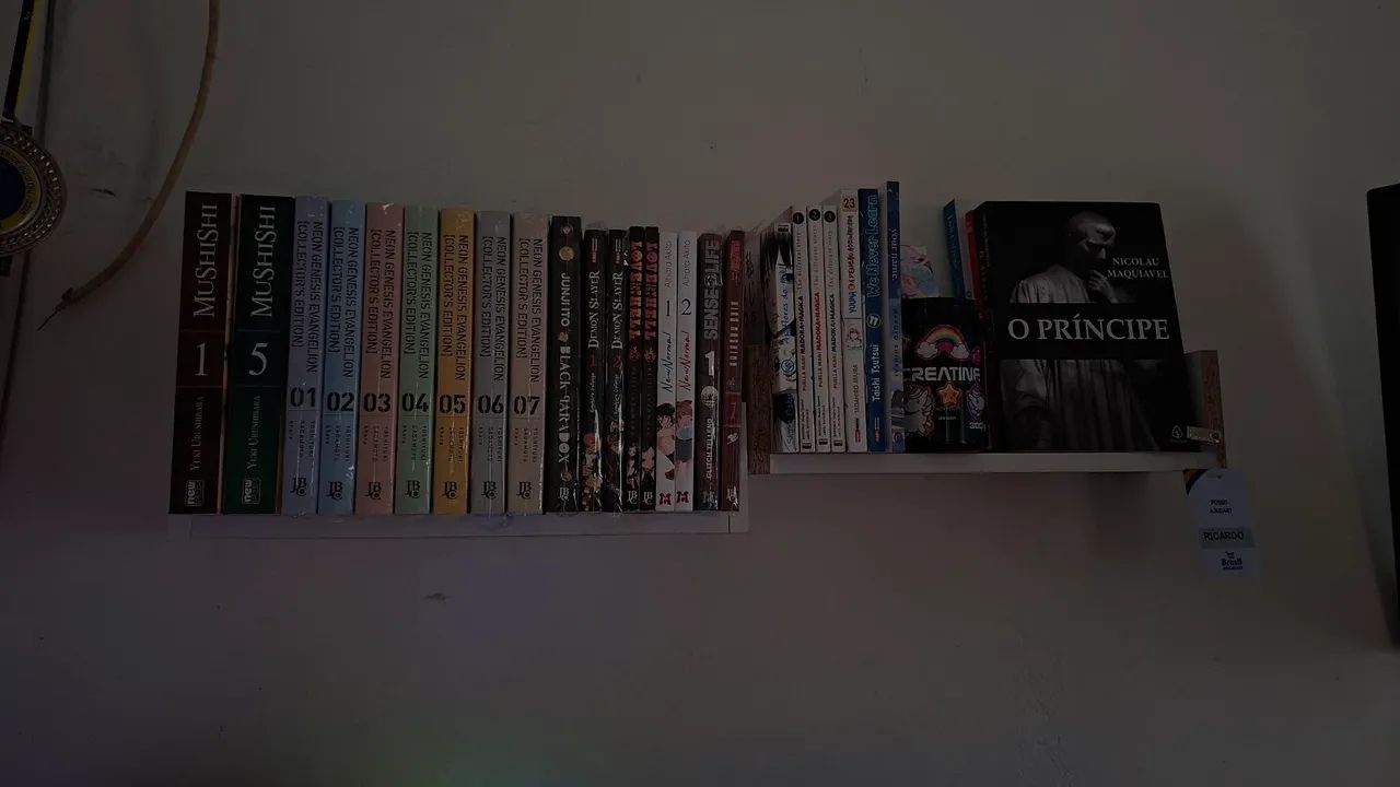Mangas e livros