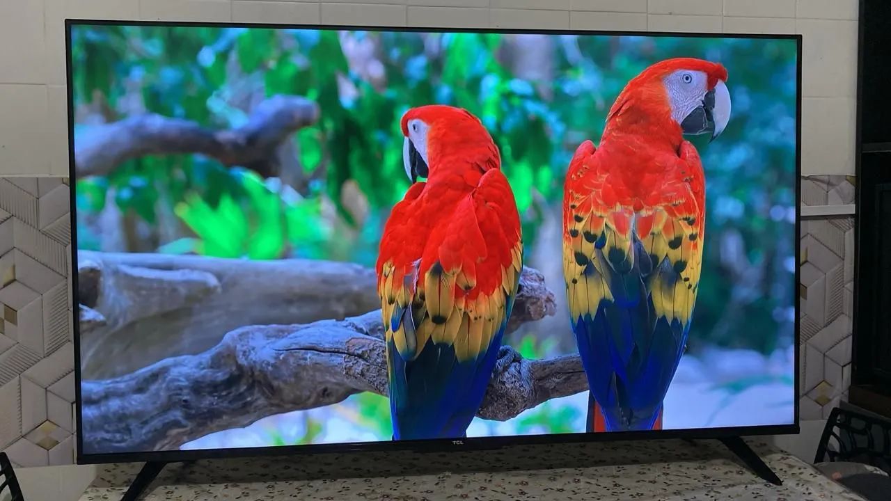 Tv smart tcl 4k 50 polegadas imagem linda 