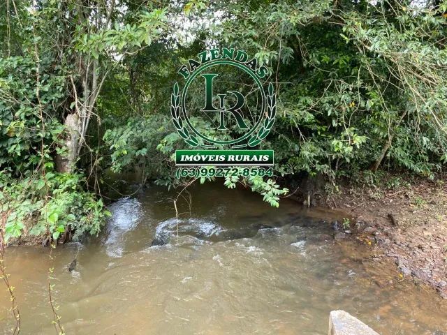 Fazenda Dupla Aptidão Tocantins Lavoura e Pecuária - Foto 5