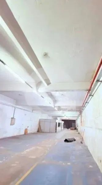 Loja em Bom Retiro - Foto 5