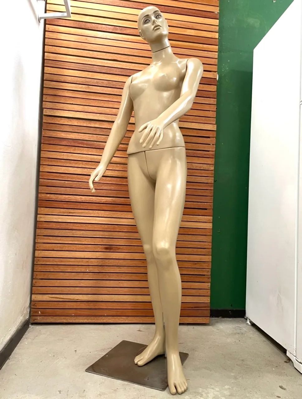 Manequim Feminino - Foto 3