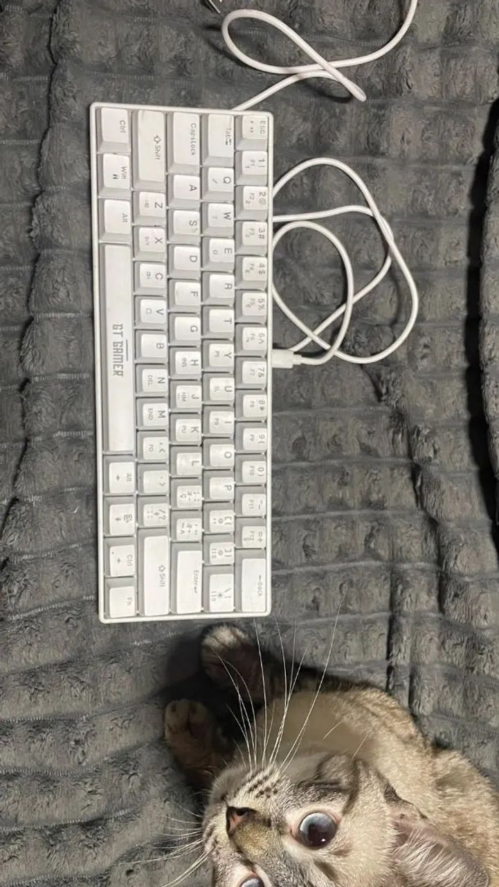 Teclado GAMER 60% Goldentech
