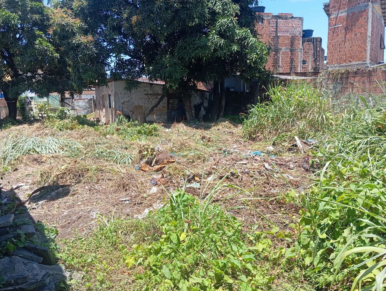 Terreno em campo grande  - Foto 3