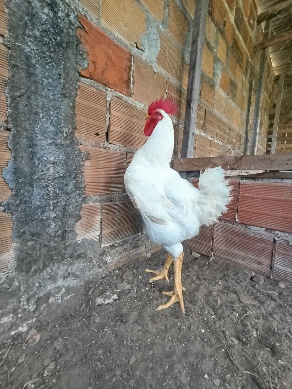 Vendo  - Foto 2