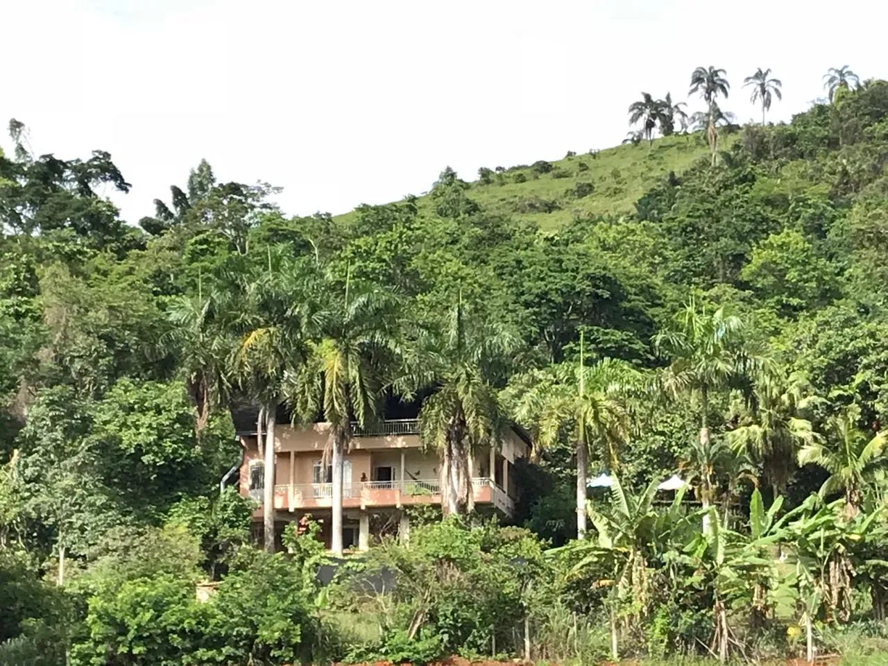 Chácara em Lavrinha - Foto 4