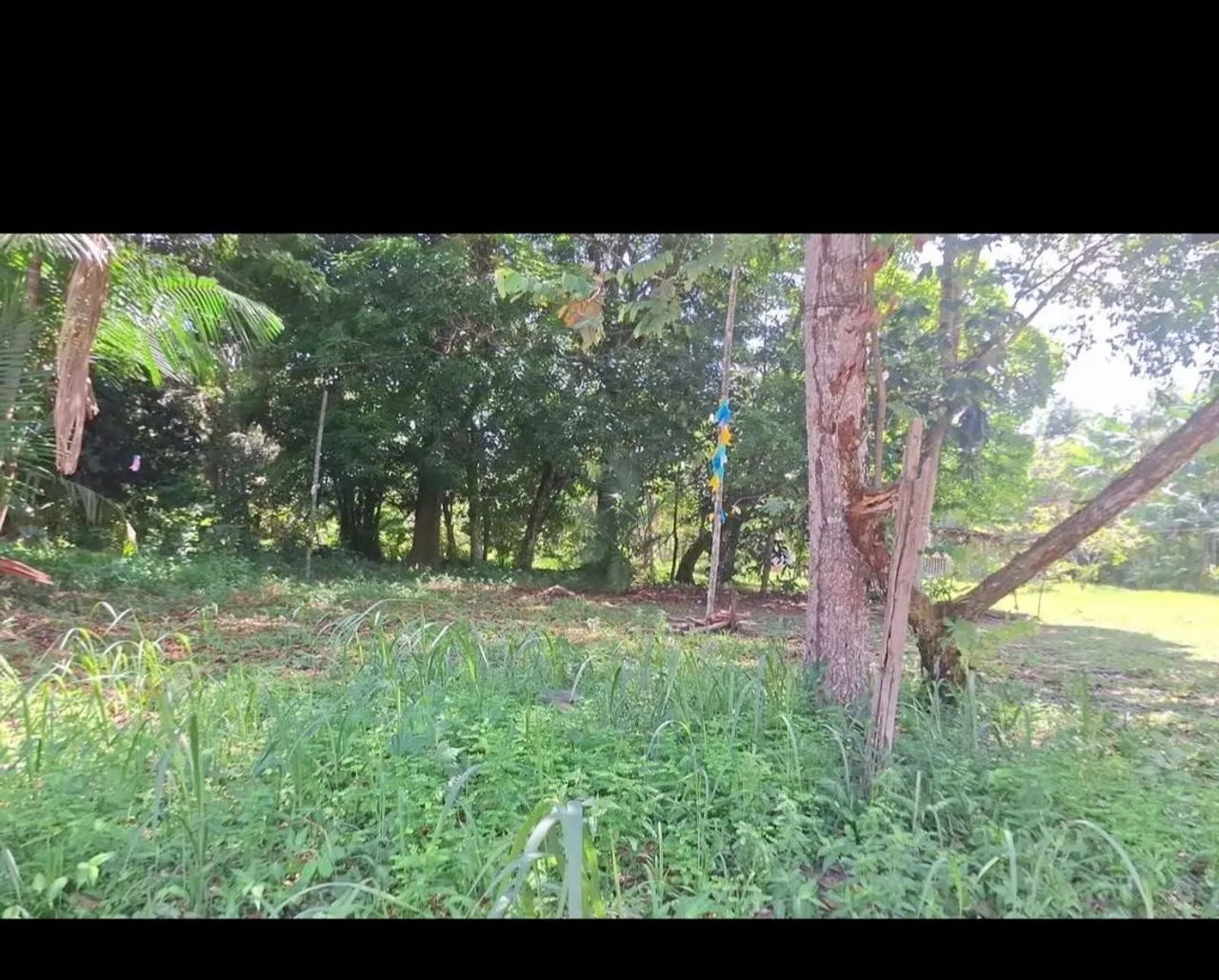Vendo terreno no Cotijuba  - Foto 2