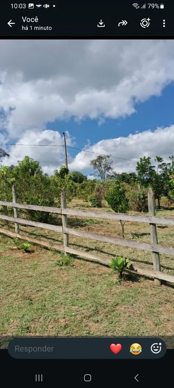 Vendo ou troco sitio em itatiaiuçu  - Foto 3