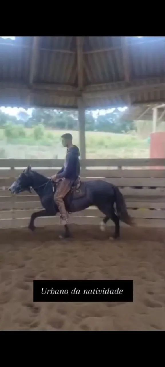 Potros MM domados - Foto 4