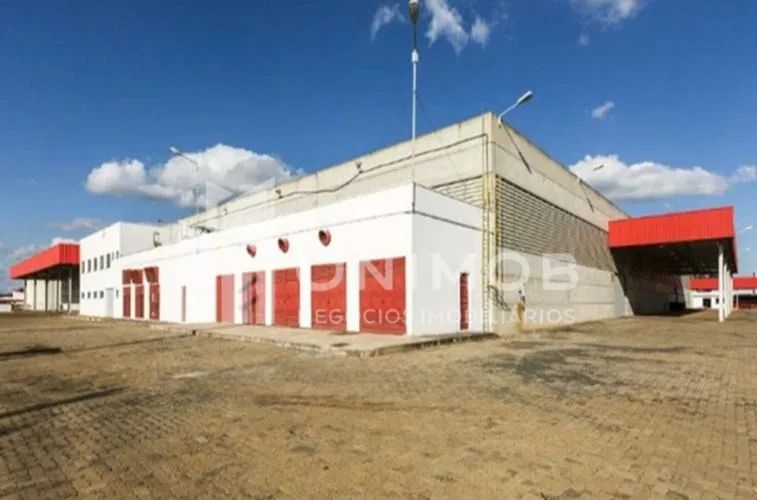 galpão - Distrito Industrial - Santo Antônio de Posse - Foto 4