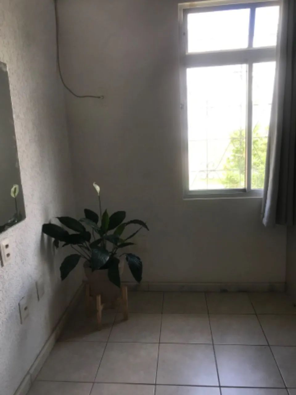 Sala para alugar Itacorubi - Foto 4