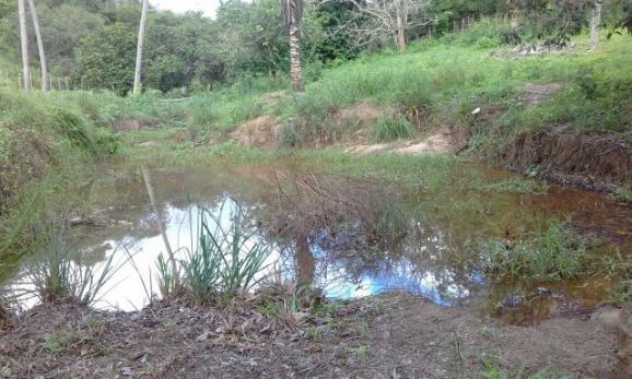 Rancho em Vitoria de Sto Antão - Foto 6