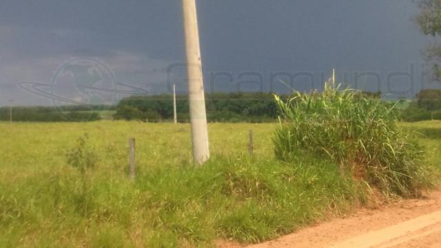 Terreno à venda cod:4806 - Foto 3
