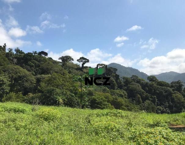 Fazenda à venda, 2460000 m² por r$ 800.000,00 - zona rural - buerarema/ba