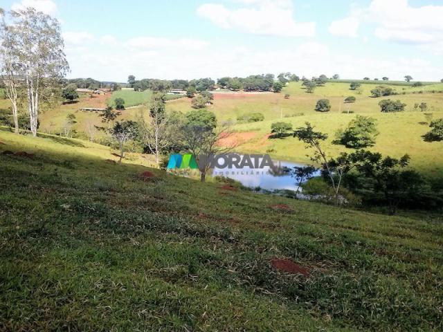 FAZENDA - 122,80 hectares - PEQUI (MG) - Foto 2