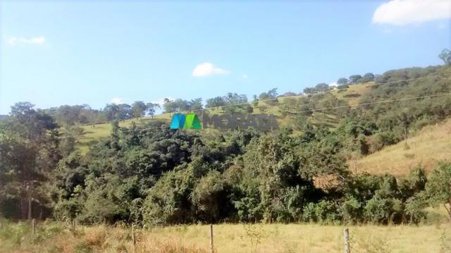 FAZENDA À VENDA - 187 HECTARES - ONÇA DO PITANGUI (MG) - Foto 8