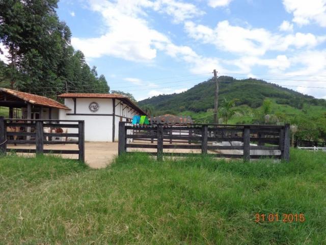 Fazenda à venda - 1.180 hectares - região jequitibá (mg) - Foto 8