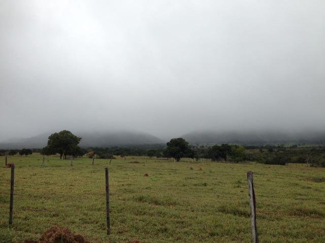 Fazenda - 1100 Hectares - Cáceres/MT - Foto 15