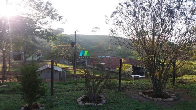 FAZENDA A VENDA - 447,50 hectares - REGIÃO PEQUI (MG) - Foto 14