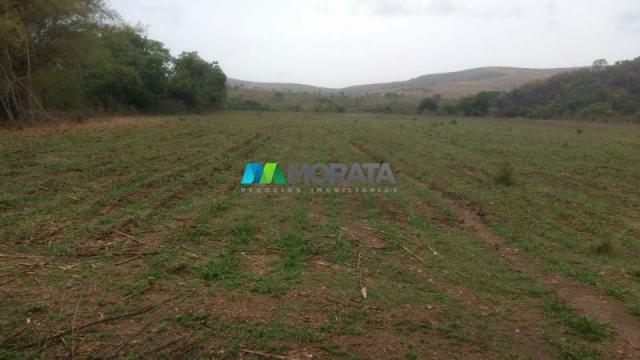 Fazenda à venda - 100 hectares - sete lagoas (mg) - Foto 6