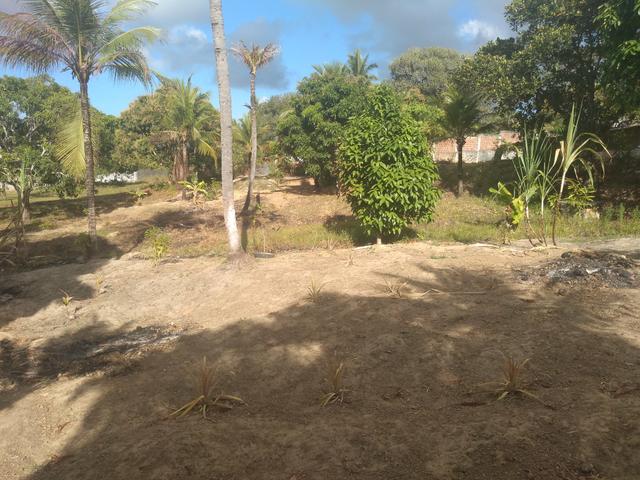 Vendo um sitio - Foto 2