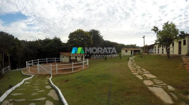 Fazenda haras - 63.000 m2 - região lagoa santa (mg) - Foto 11