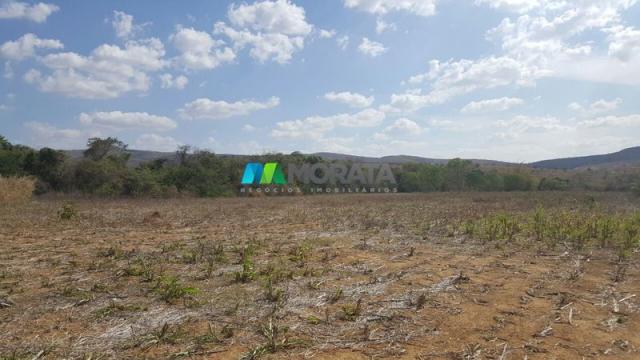 Fazenda à venda - 100 hectares - sete lagoas (mg) - Foto 8