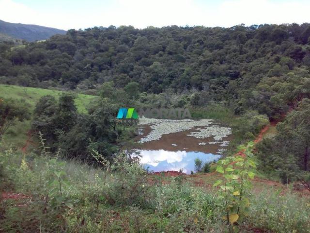 FAZENDA - 122,80 hectares - PEQUI (MG) - Foto 4