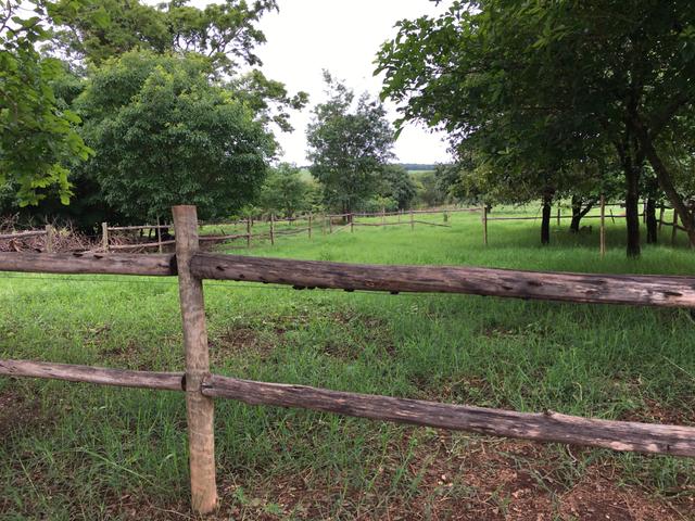 Chácara em Bela Vista de Goiás com casa - Foto 10
