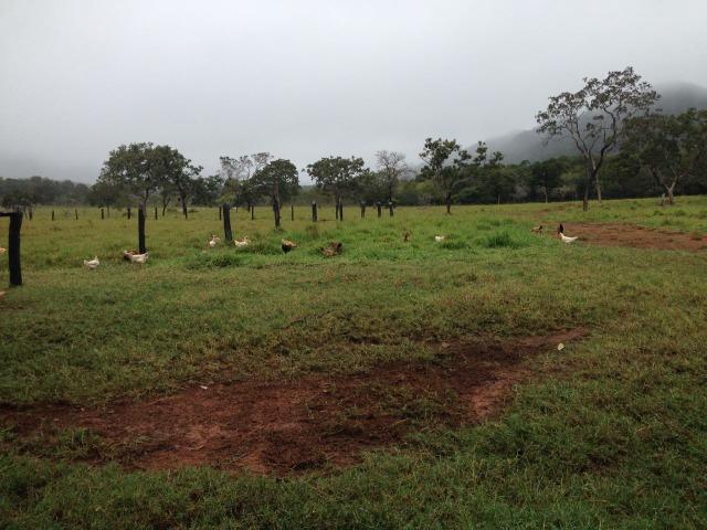 Fazenda - 1100 Hectares - Cáceres/MT - Foto 16