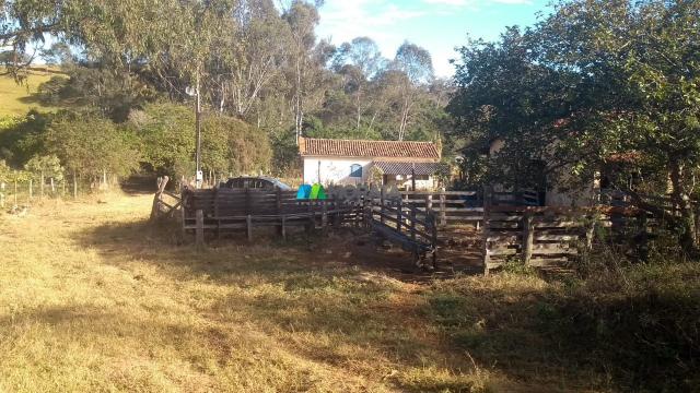 Fazenda à venda - 40 hectares - lavras (mg)