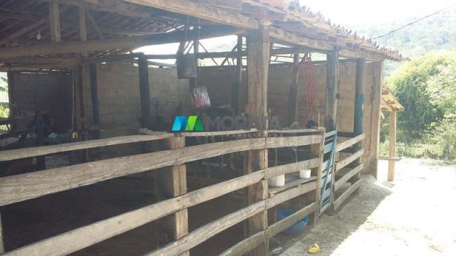 Fazenda - 80,70 hectares - congonhas do norte (mg) - Foto 7