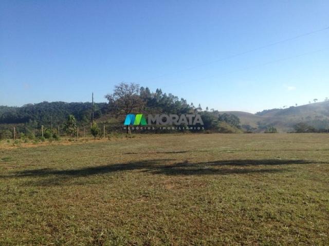 Fazenda haras - 10,8 hectares - itaverava (mg) - Foto 4