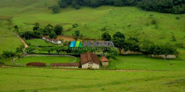 Fazenda / haras à venda - 100 hectares - rio casca (mg)