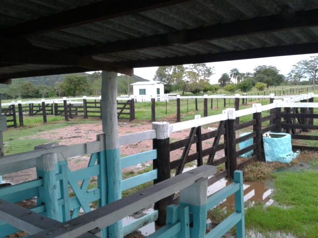 Fazenda - 981 Hectares - Cuiabá/MT - Foto 12