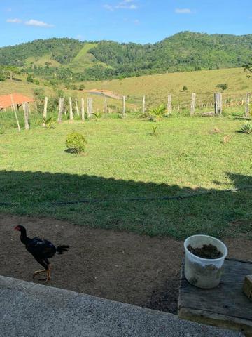 Vendo fazenda (Itamaraju BA) - Foto 7